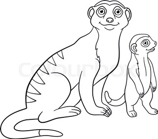 320x283 Coloring Pages. Little Cute Baby Meerkat Sits And Smiles. Stock