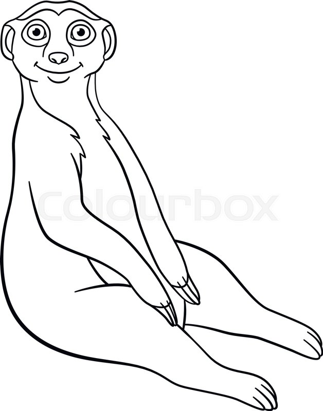 628x800 Coloring Pages. Little Cute Meerkat Sits And Smiles. Stock