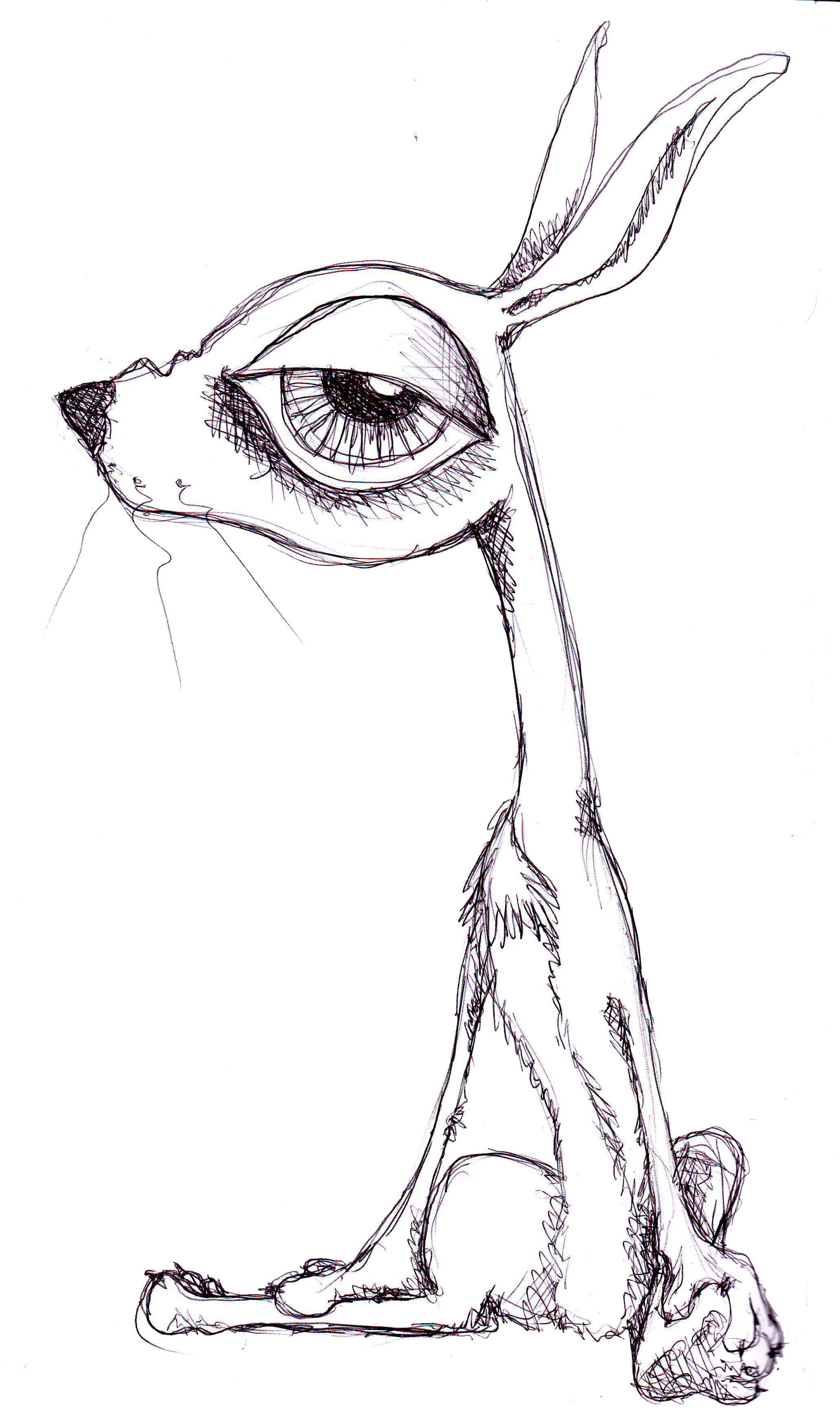 2062x3492 Meeting Recursiveworlds