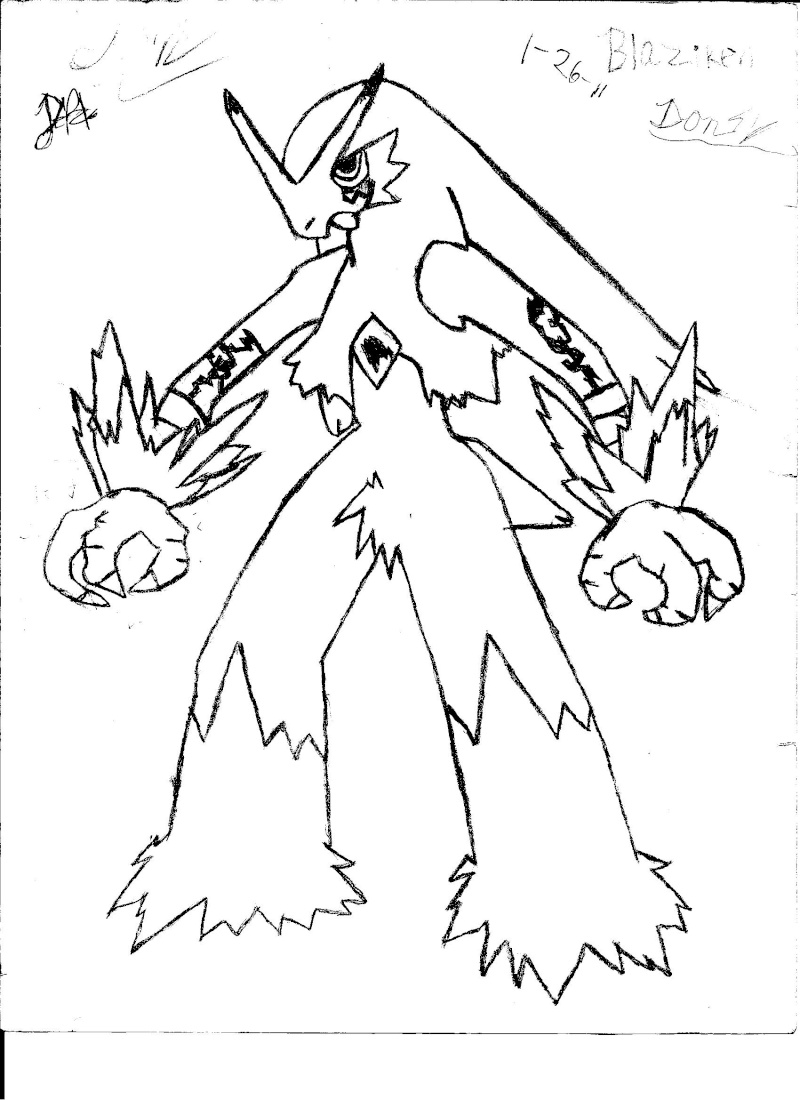 800x1100 Blaziken Sketch