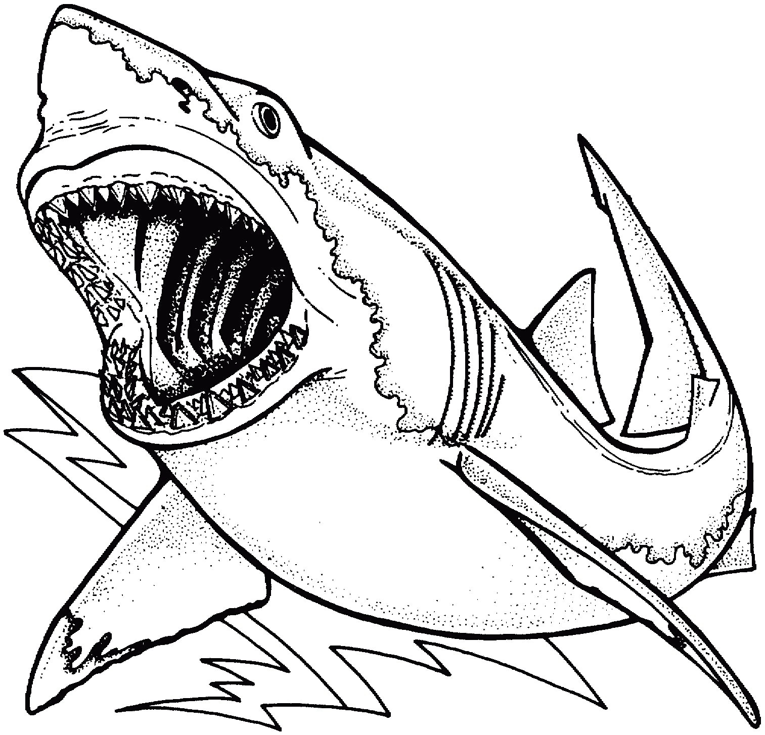 1513x1454 Megalodon Coloring Pages Beautiful Shark Drawing Coloring Page