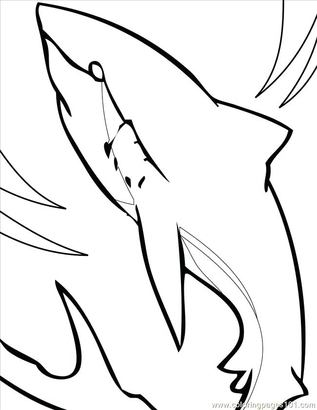 650x841 Megalodon Shark Coloring Pages The Most Elegant Shark Coloring Web