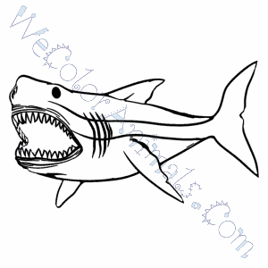 300x300 Megalodon Shark Coloring Pages