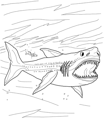 360x480 Megalodon Shark Coloring Page Free Printable Coloring Pages