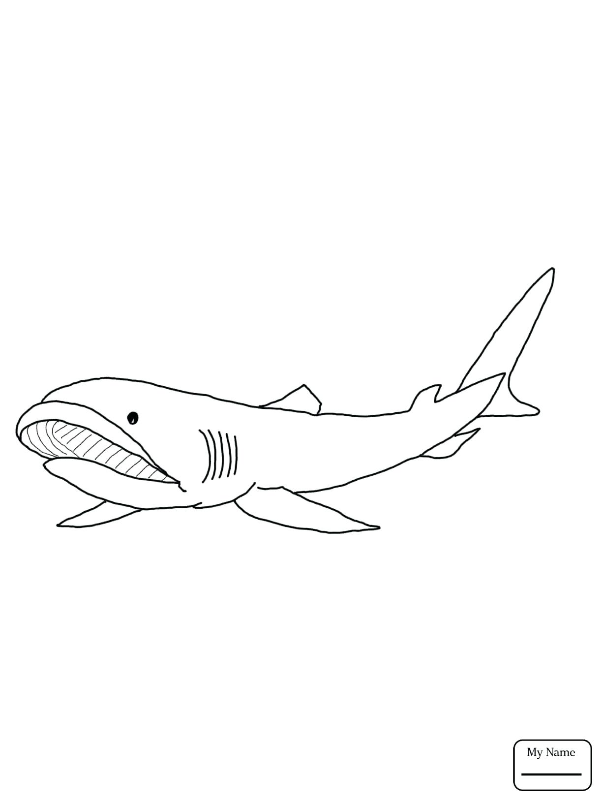 1224x1632 Coloring Megalodon Shark Coloring Pages