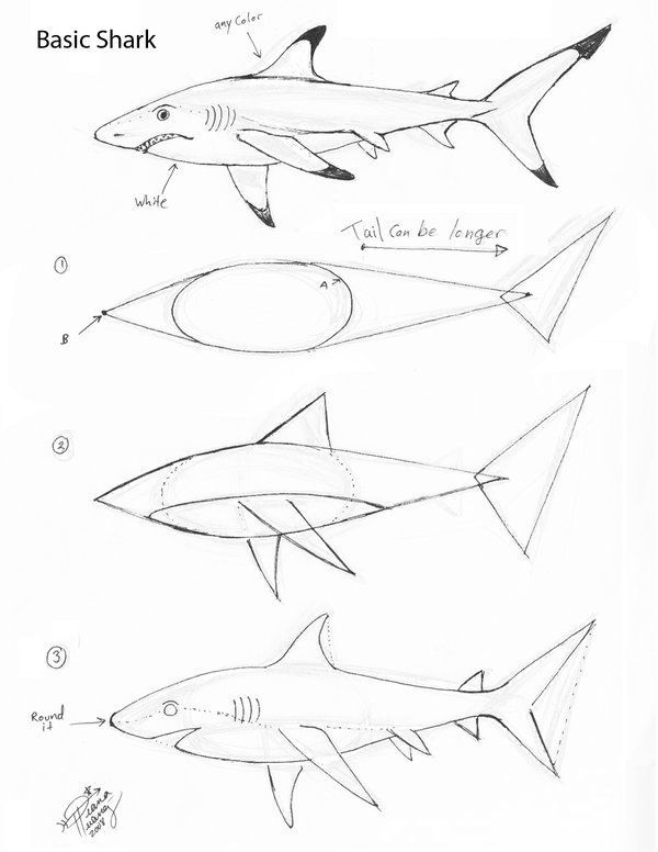 600x776 95 Best Sharks Amp Whales Images On Shark Tattoos