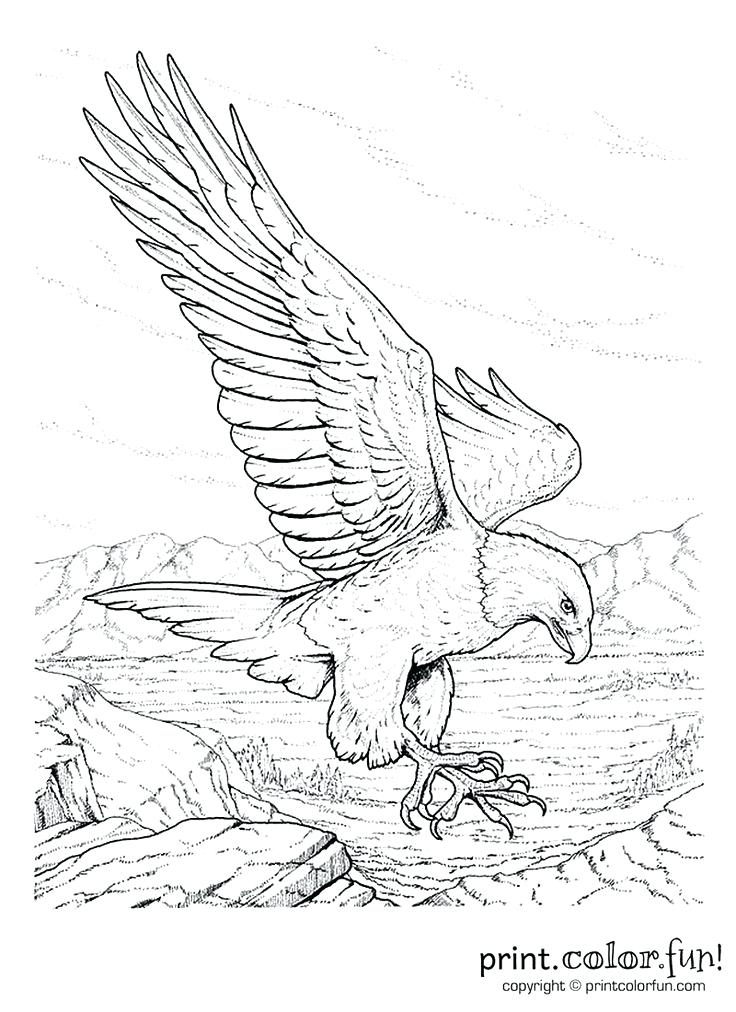 736x1012 Stunning Memorial Day Coloring Pages Crayola Photo