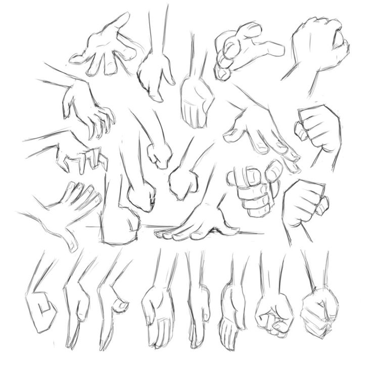 736x736 43 Best Anatomy Images On Sketches, Figure Drawing