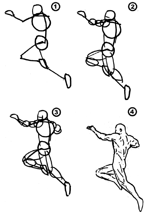 481x695 Learn How To Draw Animals, Men, Women And Hands