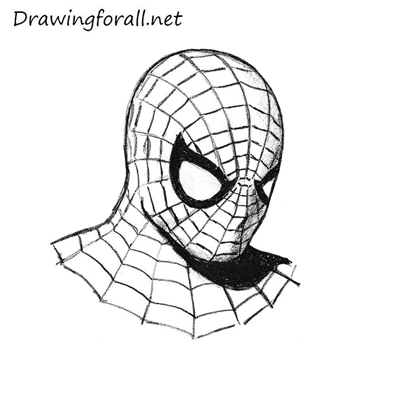 800x800 Gallery Spiderman Drawing Face,