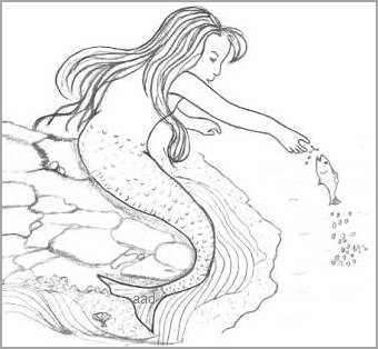 340x314 Mythical Mermaid Drawings