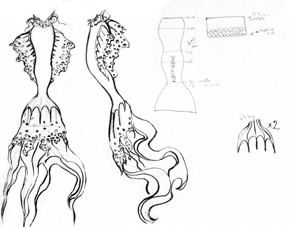 1024x793 How To Draw A Mermaid Tail