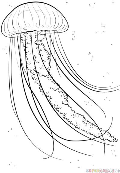 399x575 How To Draw A Jellyfish Step By Step Drawing Tutorials Art