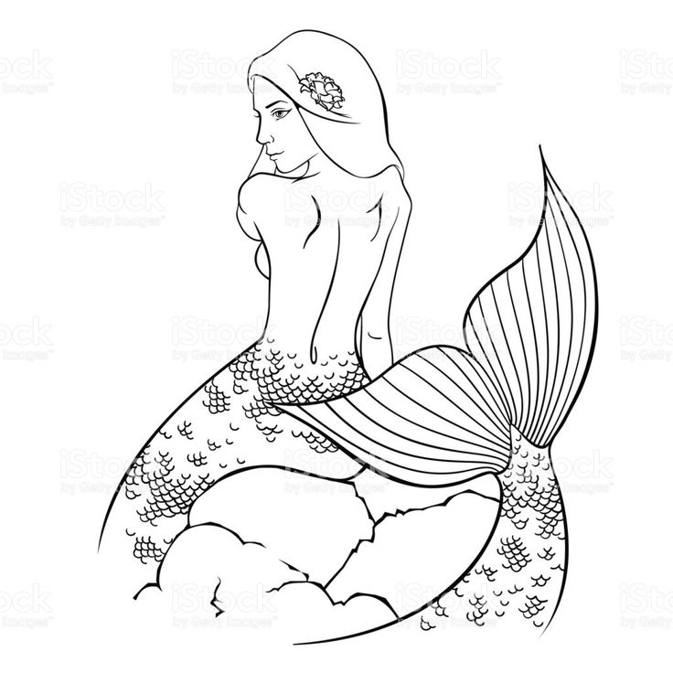 736x736 310 Best Art Mermaid Images On Vector Illustrations