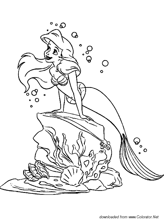 567x763 The Little Mermaid