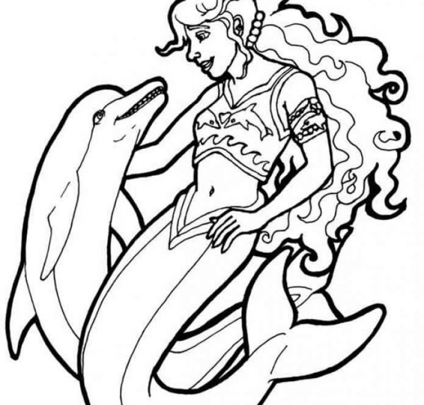 837x800 Dolphin Coloring Page Template Animal Templates Printable Pages