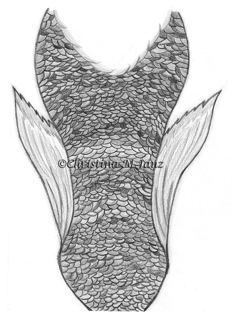 900x1201 Mermaid Tail By Kararu Chan