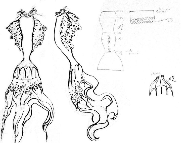 How To Draw Mermaid Tails Cliparts Co - vrogue.co