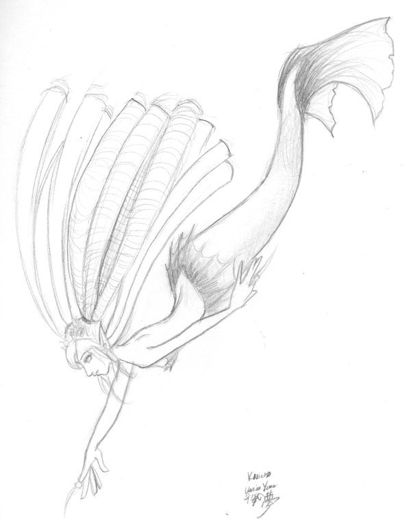 600x757 Drawn Mermaid Siren