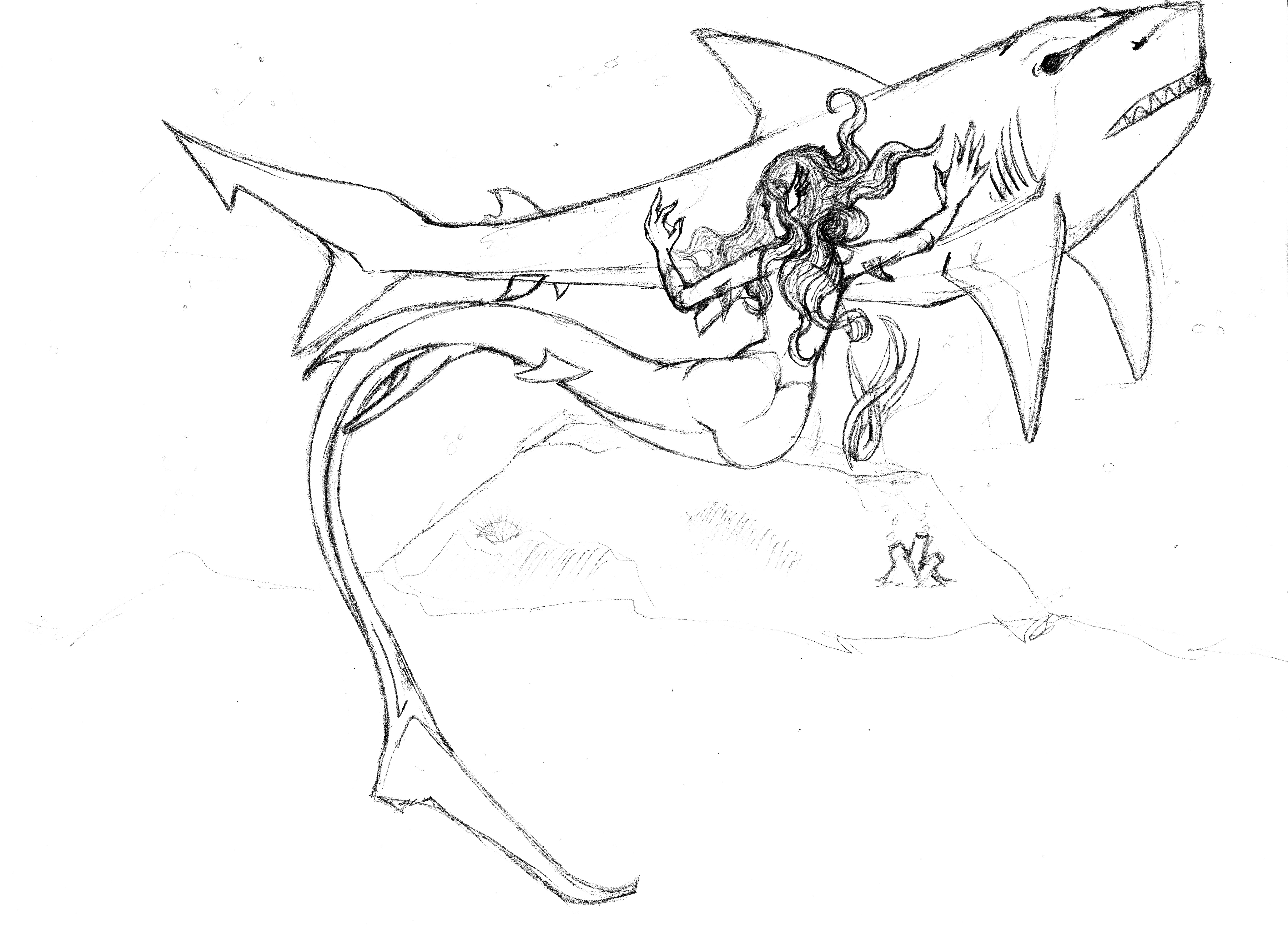 6696x4816 Mermaid Shark By Wafflemuncher