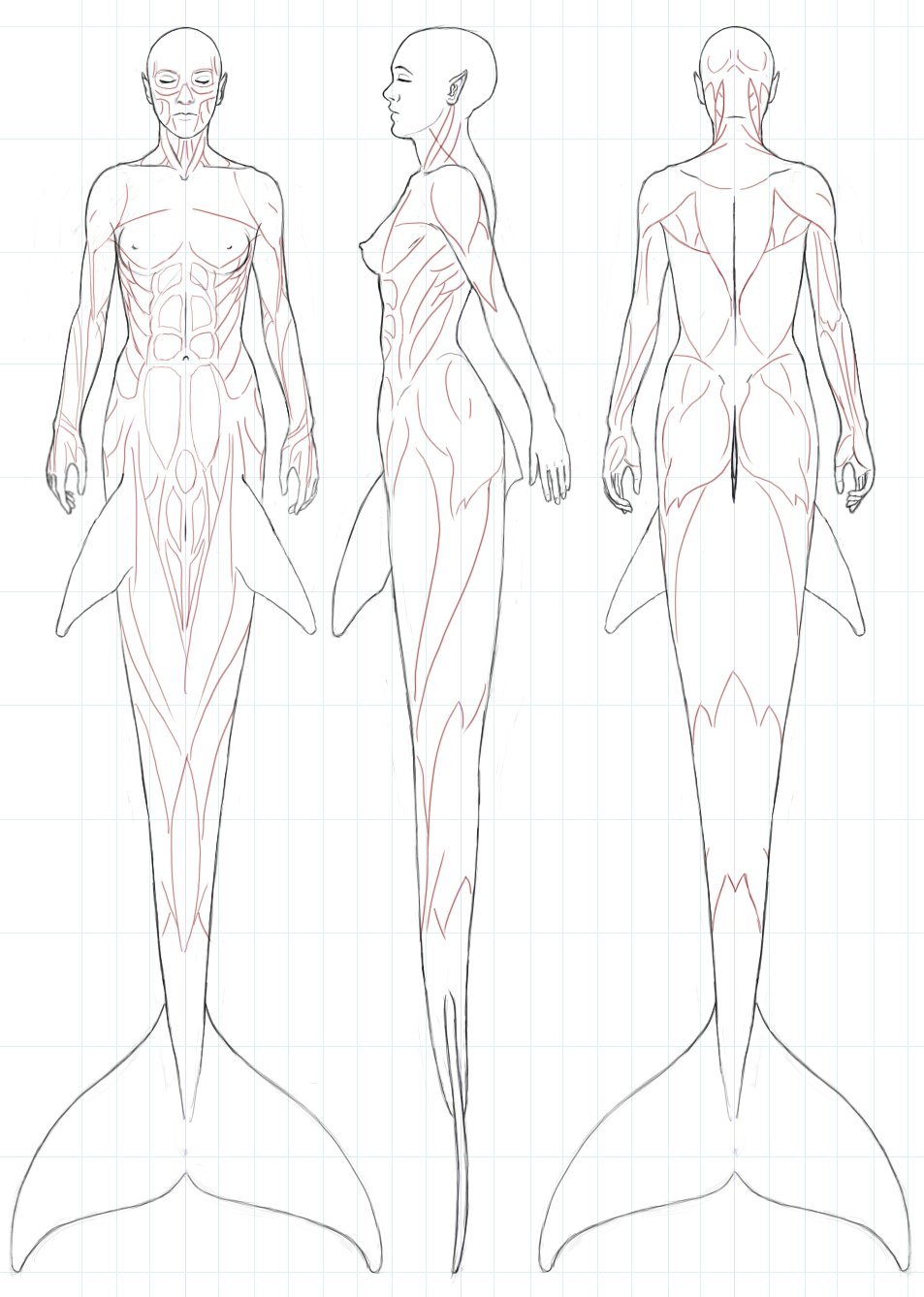 953x1338 Drawing Art Female Draw Underwater Fish Anatomy Creature Tail