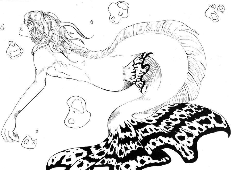 900x658 Merman Challenge