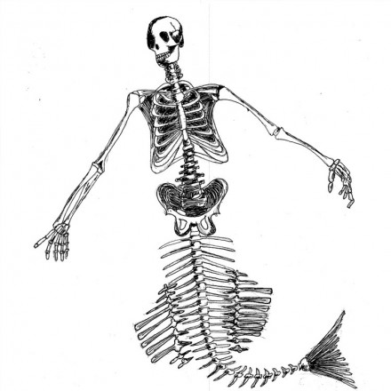 440x440 Mythical Beast Wars The Merman Drawing
