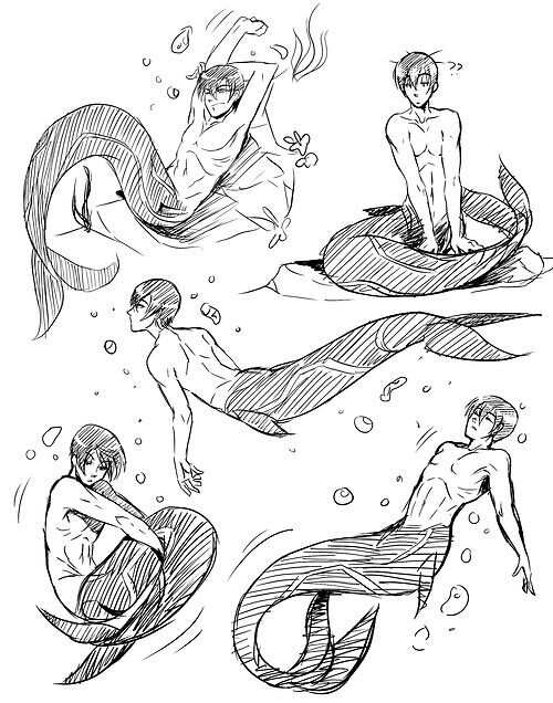500x636 Free! Haru Mermaid (I Use This For Preference And You Can Too