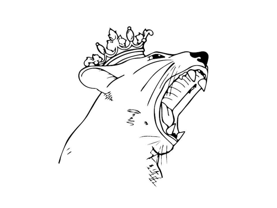 960x720 Message In A Bottle Necklace Roar By Rex, Artist And Jewelry