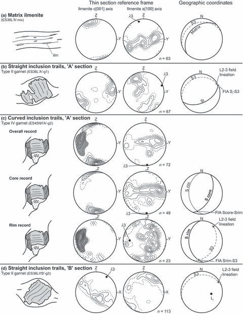 480x620 Summary Of Relationships, Metamorphic