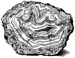 320x246 Drawn Rock Metamorphic Rock