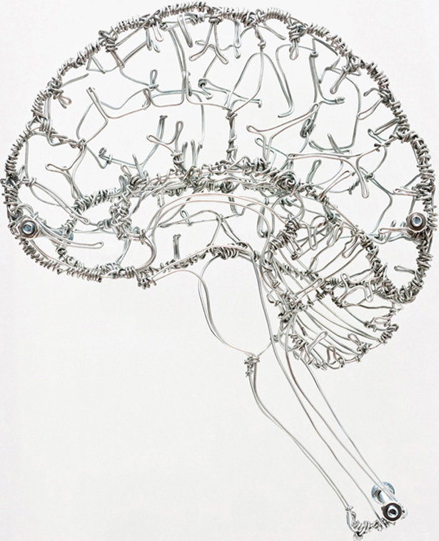 615x759 Federico Carbajal's Beautiful Wire Art Based On Human Anatomy