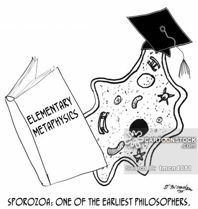 400x422 Metaphysics Cartoons And Comics