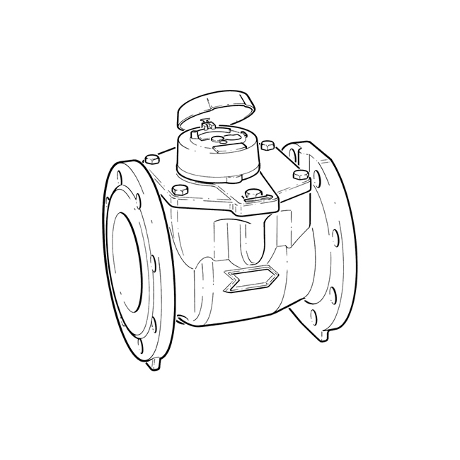 650x650 Itron Woltex Cold Water Meter