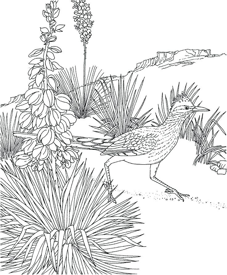 736x894 New Mexico Coloring Pages New Flag Coloring Sheet Trend Page