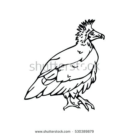 450x470 Astonishing Extraordinary Black And White Mexican Flag Kids