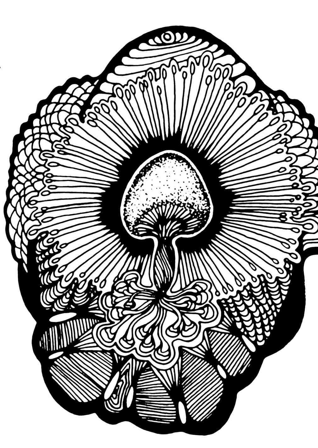 1011x1424 Mexican Drawings Art Contemporary Mexican Artists