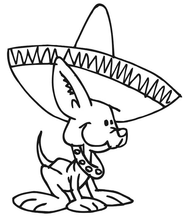 600x705 Cute Little Dog Wearing Mexican Hat Coloring Page Color Luna