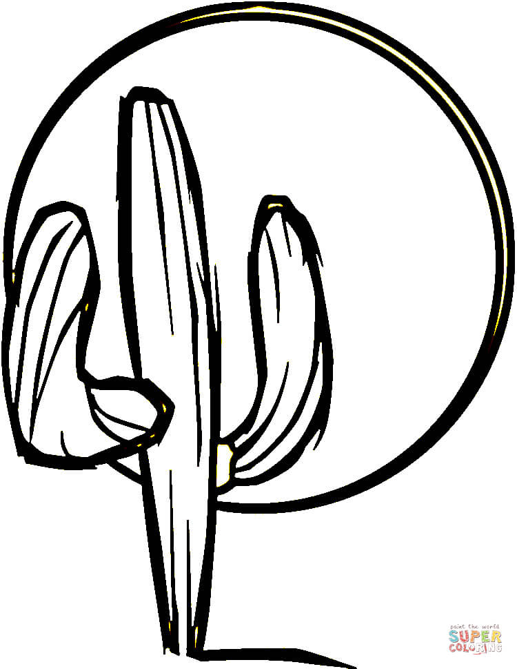 750x969 Cactus Coloring Page Free Printable Coloring Pages