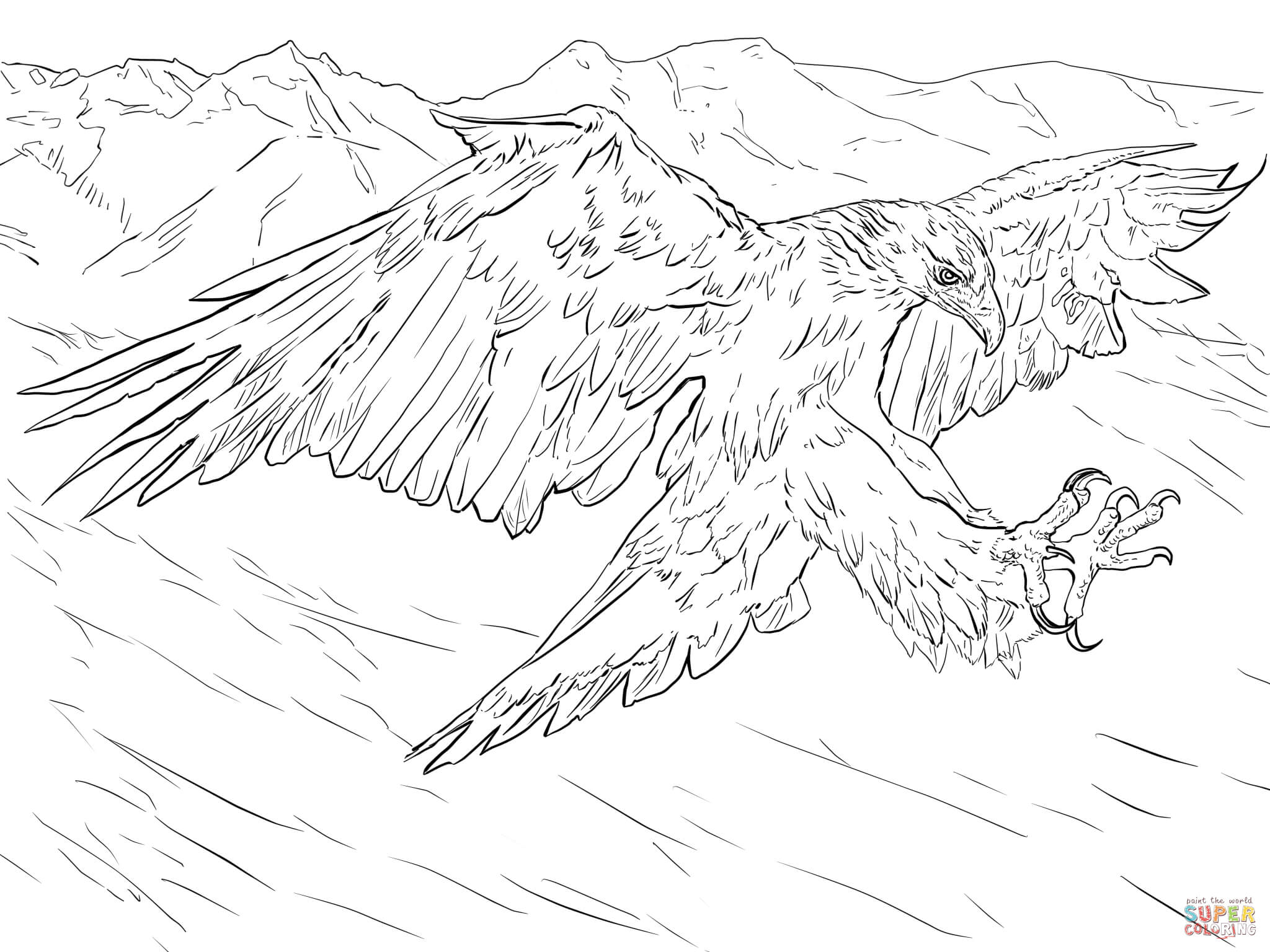 2048x1536 Golden Eagle Coloring Page Free Download