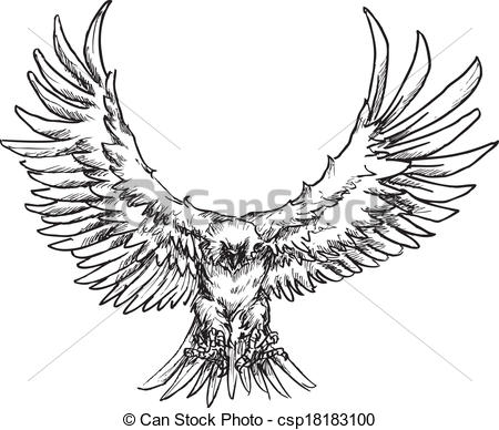 450x388 Hand Drawing Eagle Stock Photos And Images. 935 Hand Drawing Eagle
