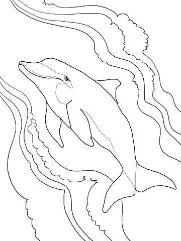 360x480 Printable Dolphin Coloring Pages Click To See Printable Version