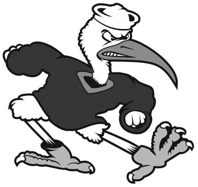 651x617 The Precedential No. 13 Ttab Reverses