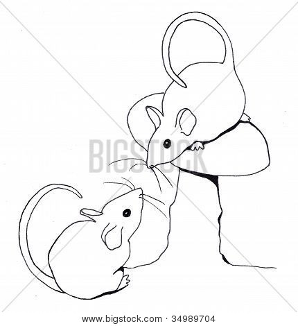 430x470 Line Drawing Mice Playing Image Amp Photo Bigstock