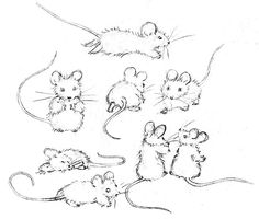 236x200 Mouse Poses For Drawing Kitchen Mice, Doodles
