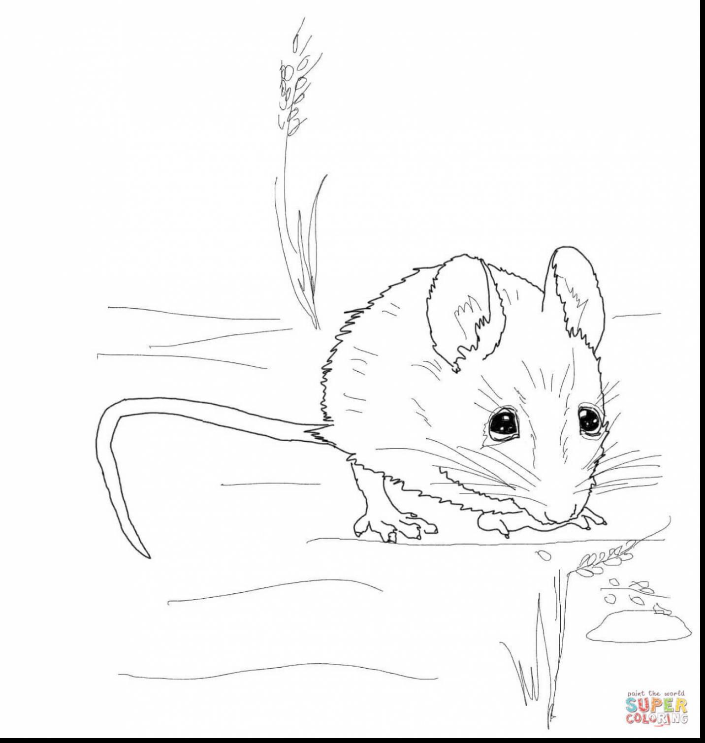 1432x1509 Spectacular Rat Drawing With Mouse Coloring Page
