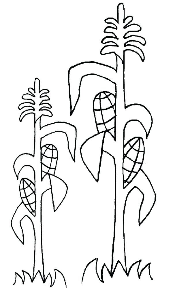 600x1000 Ears Coloring Page Growing Corn Ears Coloring Page Mickey Mouse