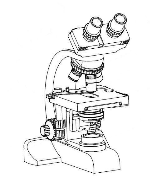 487x567 Laboratory Microscope For Teaching Biological Optical