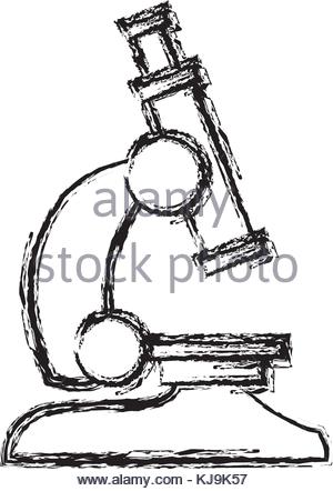 300x442 Laboratory Microscope Sketch Stock Vector Art Amp Illustration