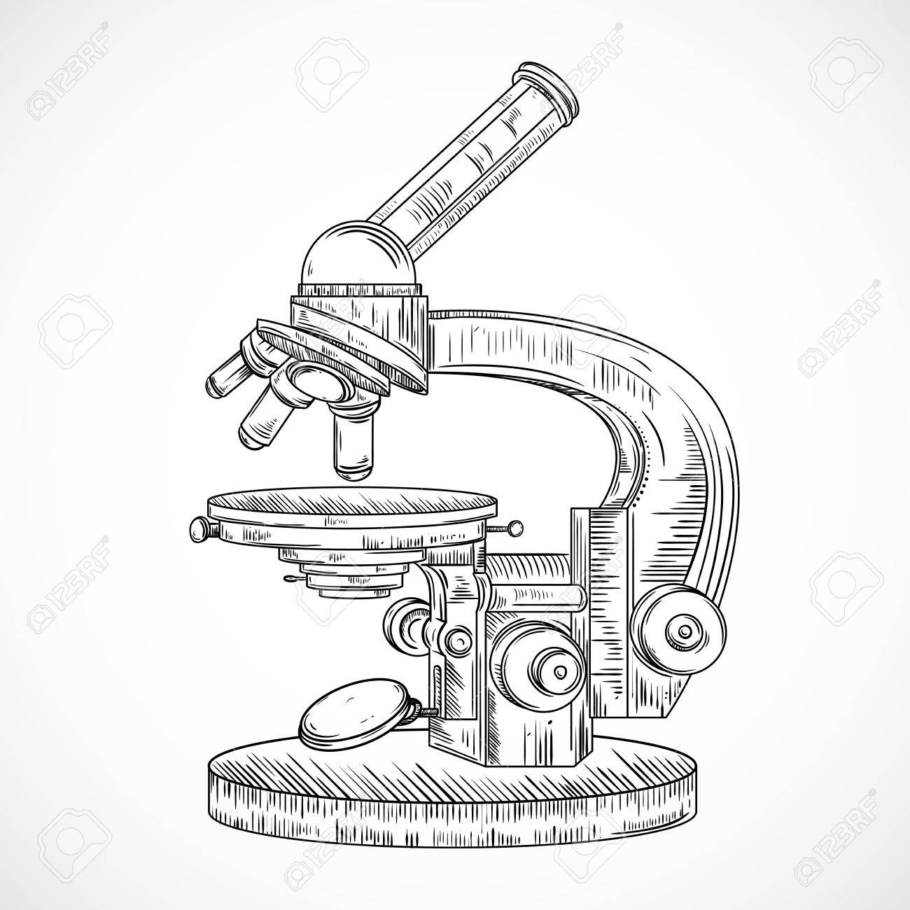 1300x1300 Microscope. Vintage Science Laboratory. Vector Hand Drawn